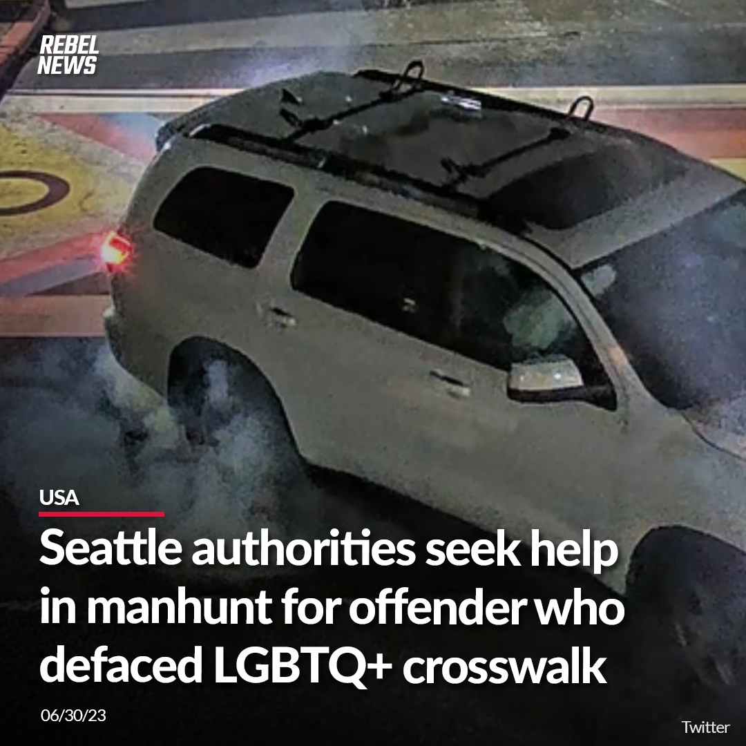 Rebel News tweet media