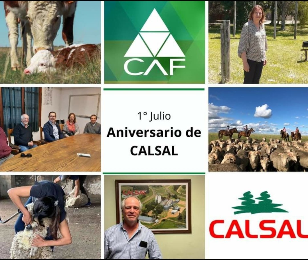 Muy feliz 67° aniversario a nuestra socia <a href="/CALSAL1/">CALSAL</a> 🎉 💫

En el Día Internacional de las Cooperativas, también celebramos la historia de una cooperativa que es emblema de Salto. Por muchos años más‼