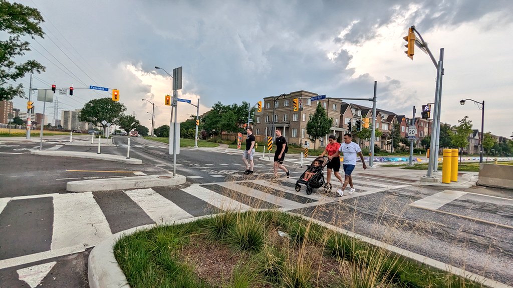 inHrEye's tweet image. The bioswale is doing its thing and the plants are coming back great.

#bioswale
#ProtectedIntersection
#BikeTO