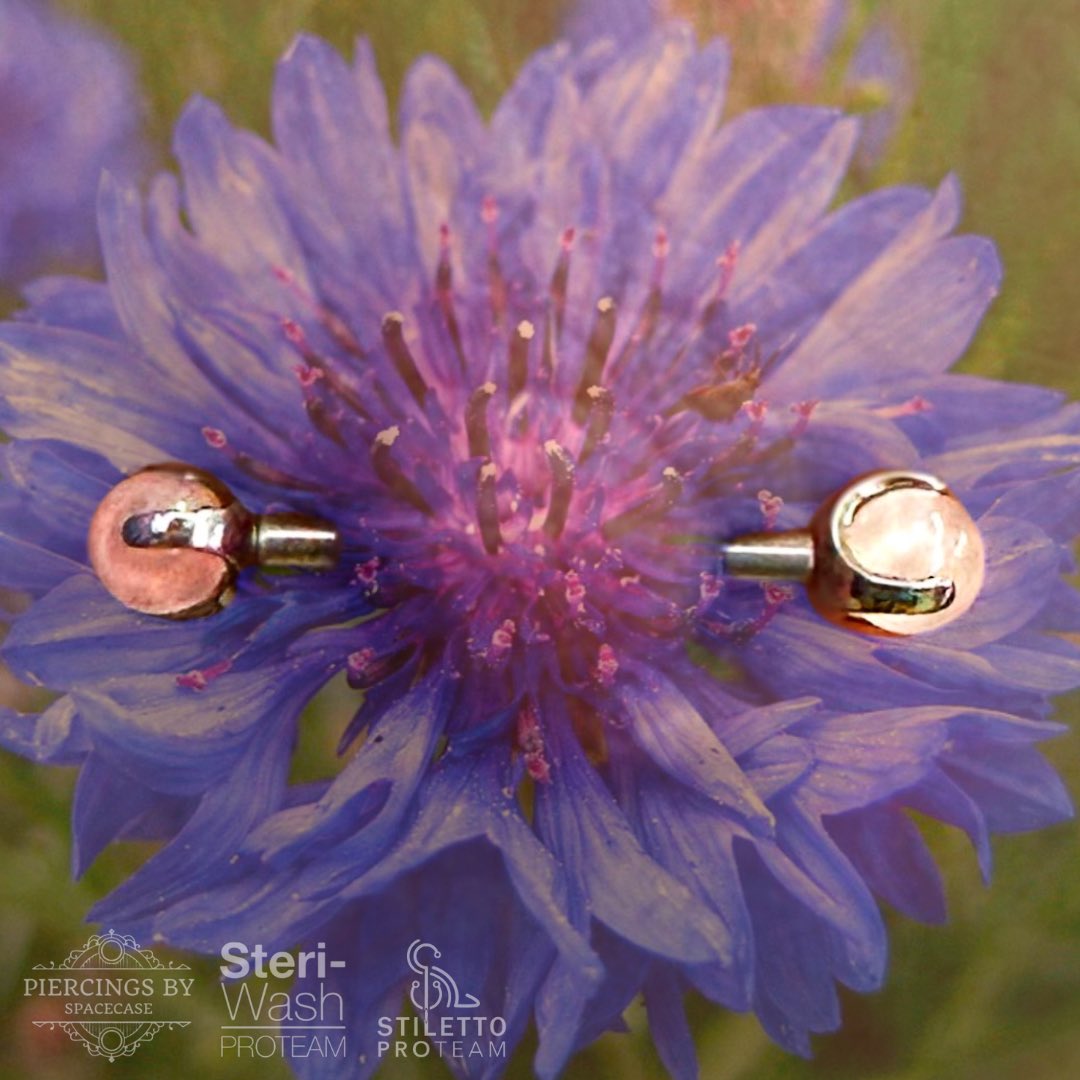 spacecase__'s tweet image. 