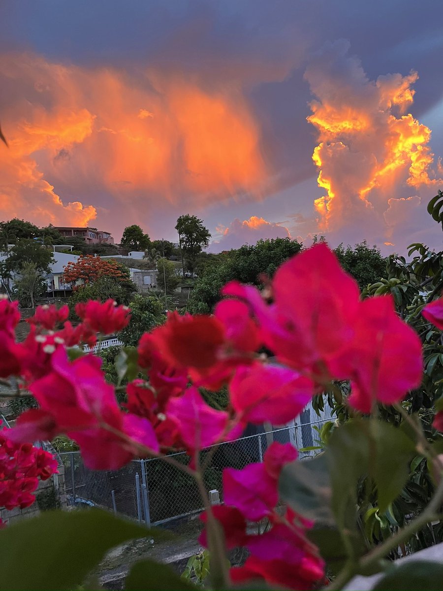 Vikky 🩵 (@artvikkyfoto) on Twitter photo I don't know if you'll see this tweet…but GN/GM Fam❤️
Please support my new drop on #tezos  
Sunset of the Dream🤗
9/10 
5 XTZ
objkt.com/asset/KT1VgRJN… I don't know if you'll see this tweet…but GN/GM Fam❤️
Please support my new drop on #tezos  
Sunset of the Dream🤗
9/10 
5 XTZ
objkt.com/asset/KT1VgRJN…