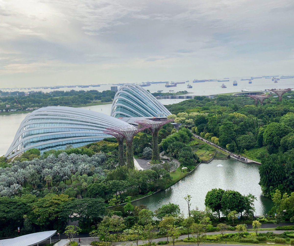 Prof Catherine Evans (@catherinejanee1) on Twitter photo Good morning! Excited to be speaking at Singapore Palliative Care Conference 2023 on #dementia #palliative #EMBED-Care. <a href="/CSI_KCL/">Cicely Saunders Institute at King's</a> <a href="/MCPCRD/">UCL Marie Curie</a> Good morning! Excited to be speaking at Singapore Palliative Care Conference 2023 on #dementia #palliative #EMBED-Care. <a href="/CSI_KCL/">Cicely Saunders Institute at King's</a> <a href="/MCPCRD/">UCL Marie Curie</a>