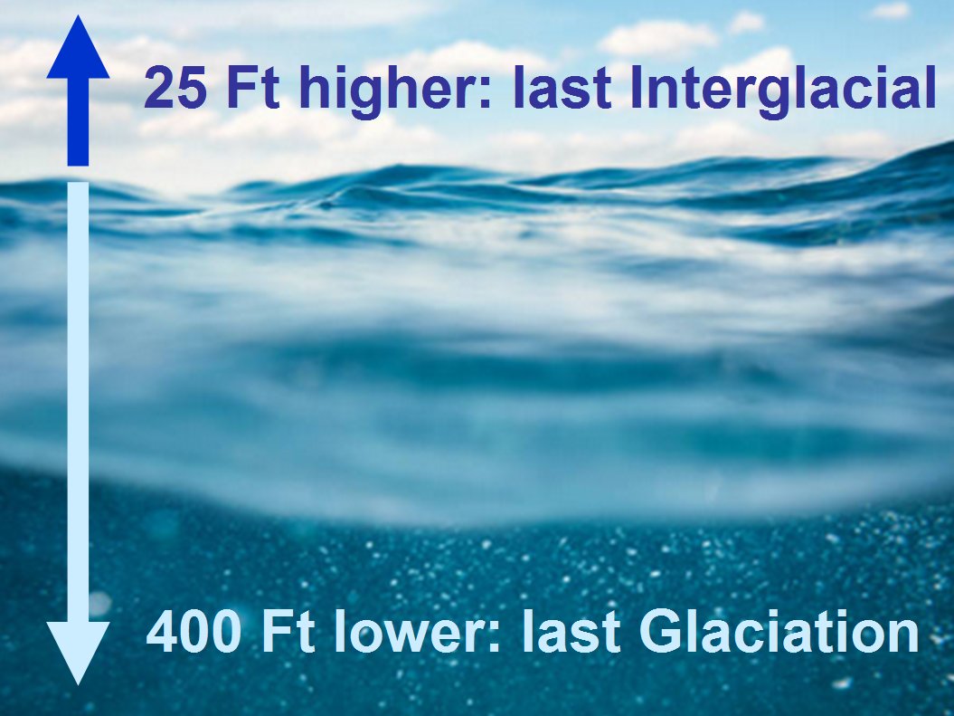 _ClimateCraze's tweet image. #ClimateScam believes the world will end with 25 more inches of sea level rise.  This is what happens when they go on strike instead of to school.
