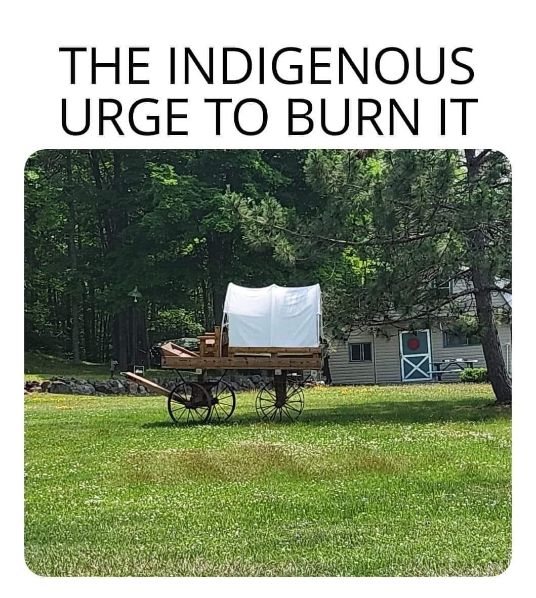 NativeHal tweet picture