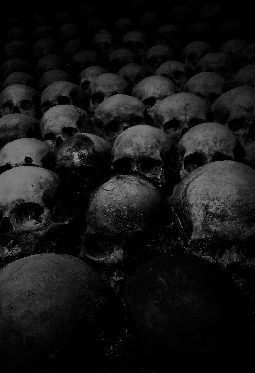 NIN75_'s tweet image. Welcome to paradise........