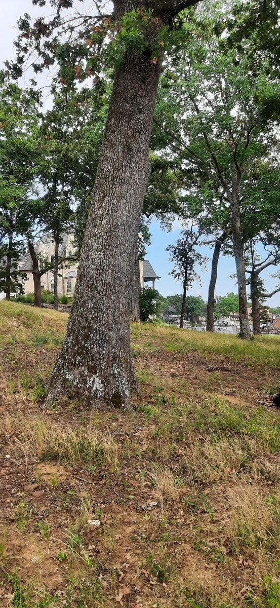 ElenaGarrettDFW's tweet image. Unexpectedly found myself at #4thofJuly private air show at Pinnacle Golf and Boat Club community in #MabankTx. 

#lakelife #lakehome #cedarcreekreservoir
#airshow