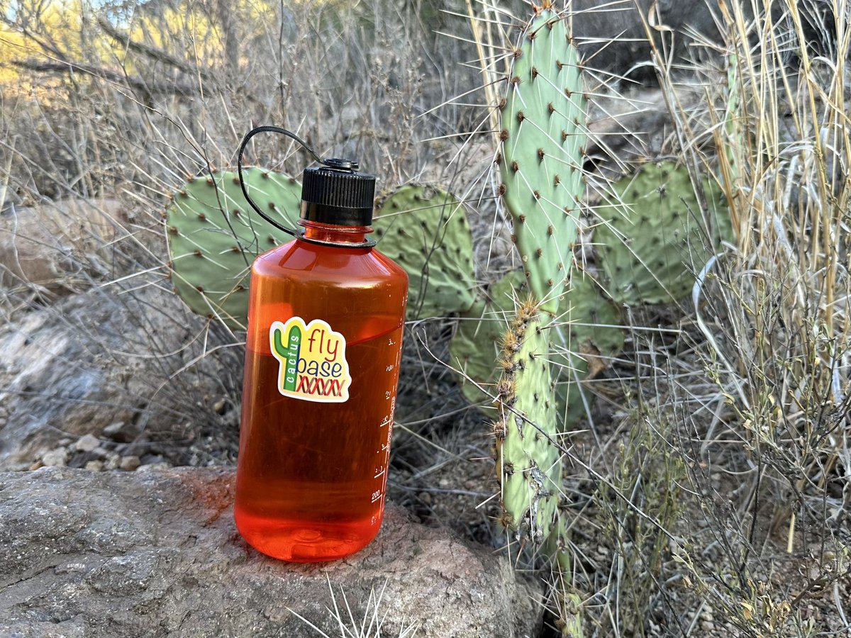cactusflybase's tweet image. Cactusflybase, always refreshing on the trail.