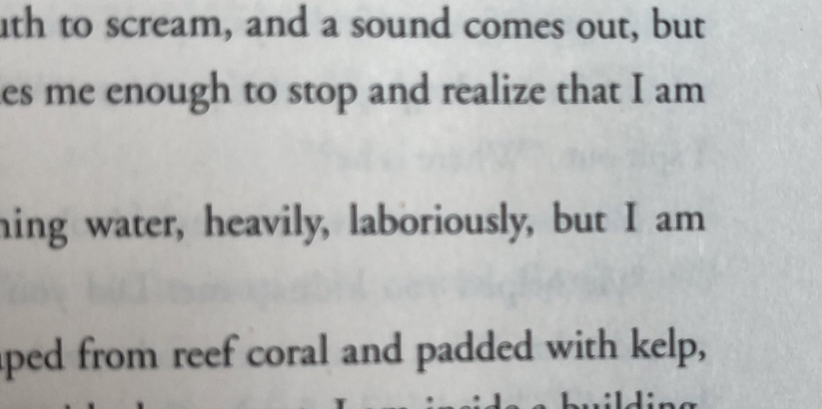 kcbee_'s tweet photo. And I will never again read or hear this word without think of @FAlvarez8085 and @TheBasementYard https://t.co/UlrX29H7zk