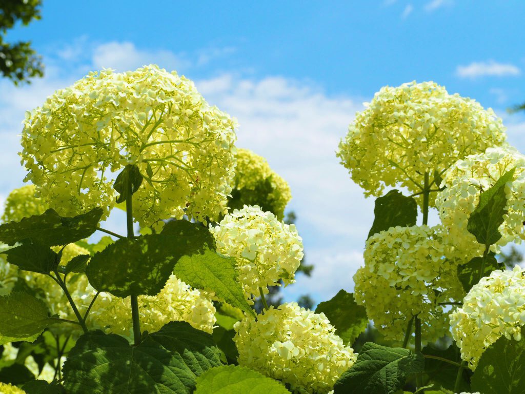 休日なので…
懸賞垢さん大大大募集中🌼

企業様中心に応募してます🌟
相互さんは固ツイ♻️お返しします
(🏷3つ以上は♡)

よく分からない垢は、様子見します🫣

🌱懸賞仲間募集中
🌿懸賞垢さんと繋がりたい 
🌱懸賞好きな人と繋がりたい
🌿無言フォロー大歓迎