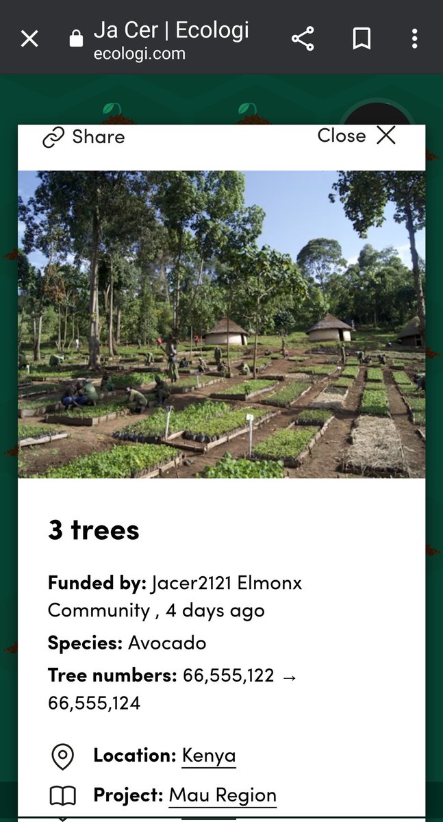 Jacer2121's tweet photo. 4 days ago I pledged that for every NFT I purchased I will donate one🌲 so far I have donated 100 trees and here is the progress of my donation. If anyone is interested in donating some trees. Here's the website. https://t.co/5XlZss5sOy 
#Elmonxcommunity #ElmonXTut https://t.co/xUHZTkGhD0