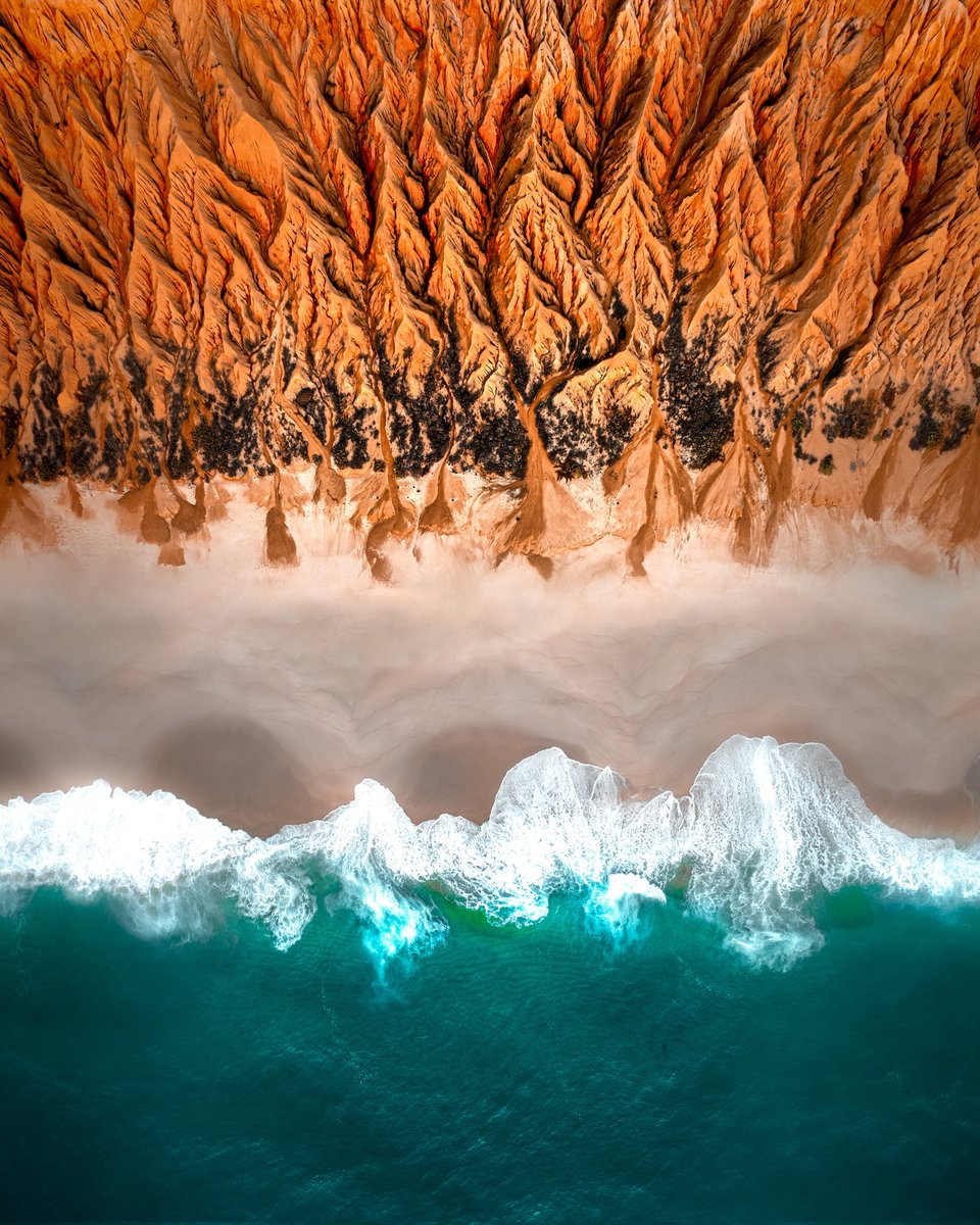 B (the mouth) tweet media