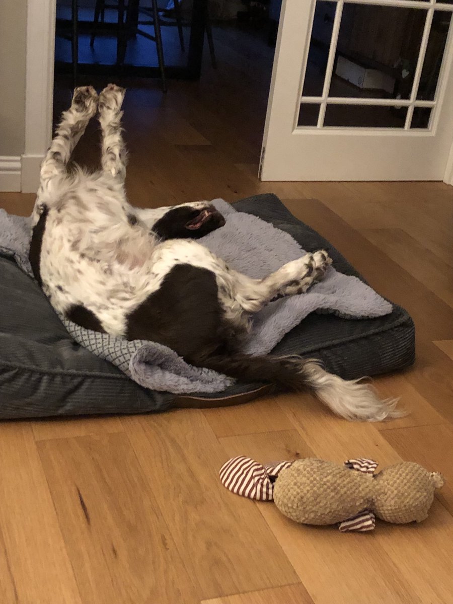 techmeerkat's tweet photo. I’m not quite sure what’s happening here……. https://t.co/DCfoupLOAr