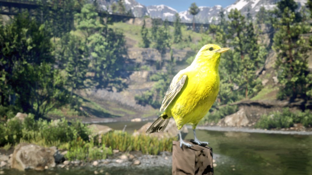 Talar1899's tweet photo. 🌼 - Red Dead Redemption 2
#RDR2 #RedDeadRedemption2 #RockstarGames #XboxShare #VideoPhotography #photomode https://t.co/TQcBT8Y1Xa