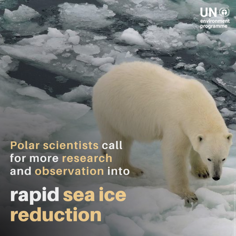 UNEP's tweet photo. Sea ice is reducing at an unprecedented rate.

In response to these changes, polar scientists have called for an urgent increase in research and observation to fill the information gaps in both polar sea-ice zones.