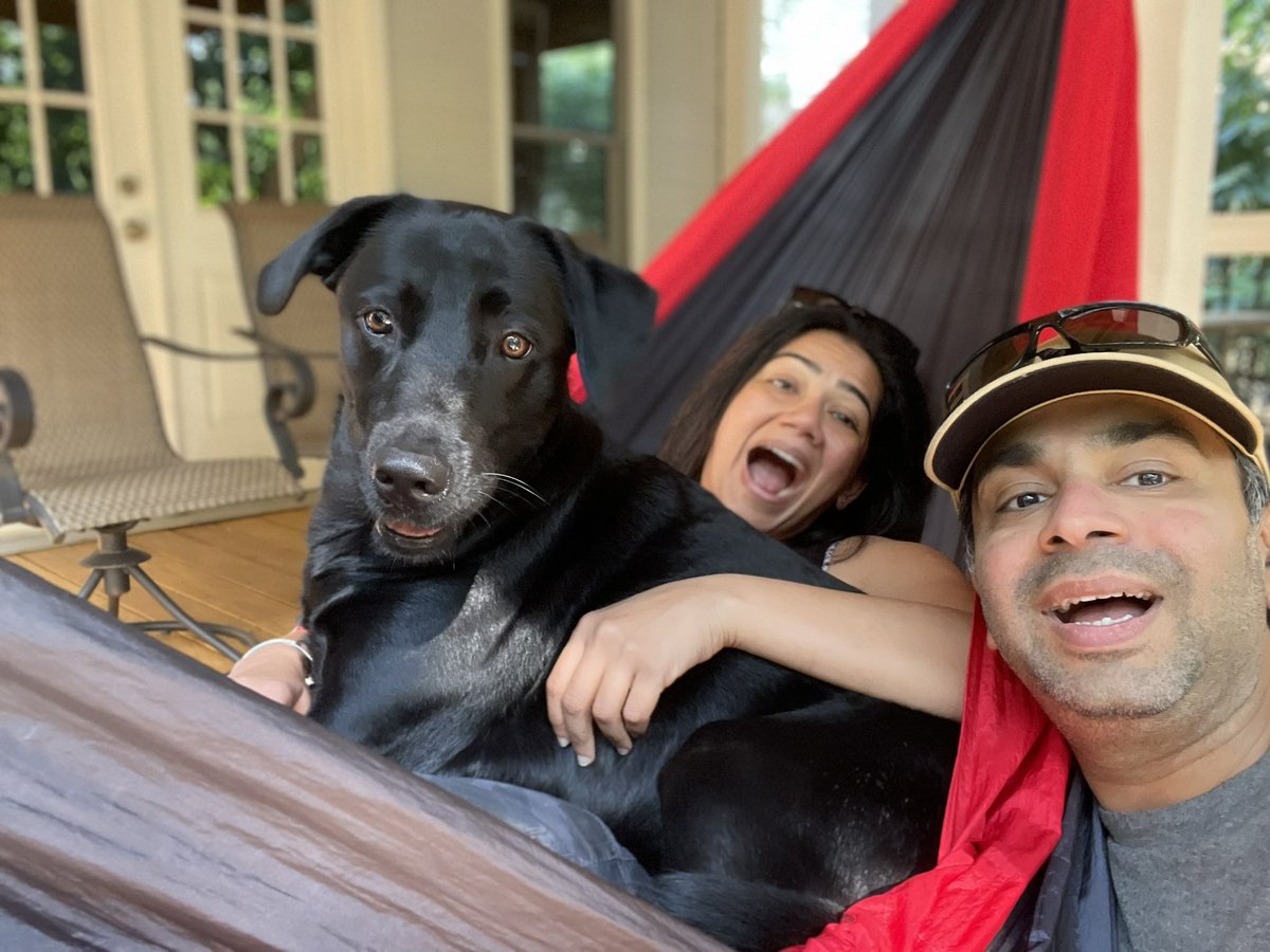 LunaSirius2020's tweet photo. Chilin out wid ma hoomans . #WeekendFeeling https://t.co/VGzRo17O54