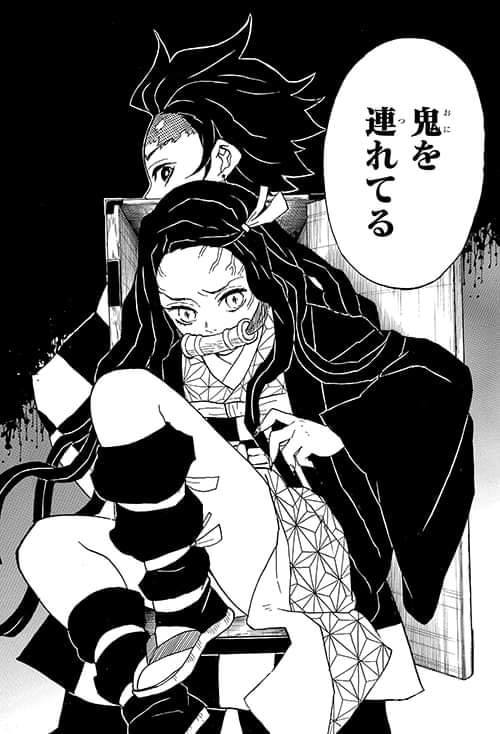 MBBMaryHW's tweet photo. ¡Mi heroína! 🌸🌺
#nezukokamado #kimetsunoyaiba https://t.co/Jre5o9d0ls