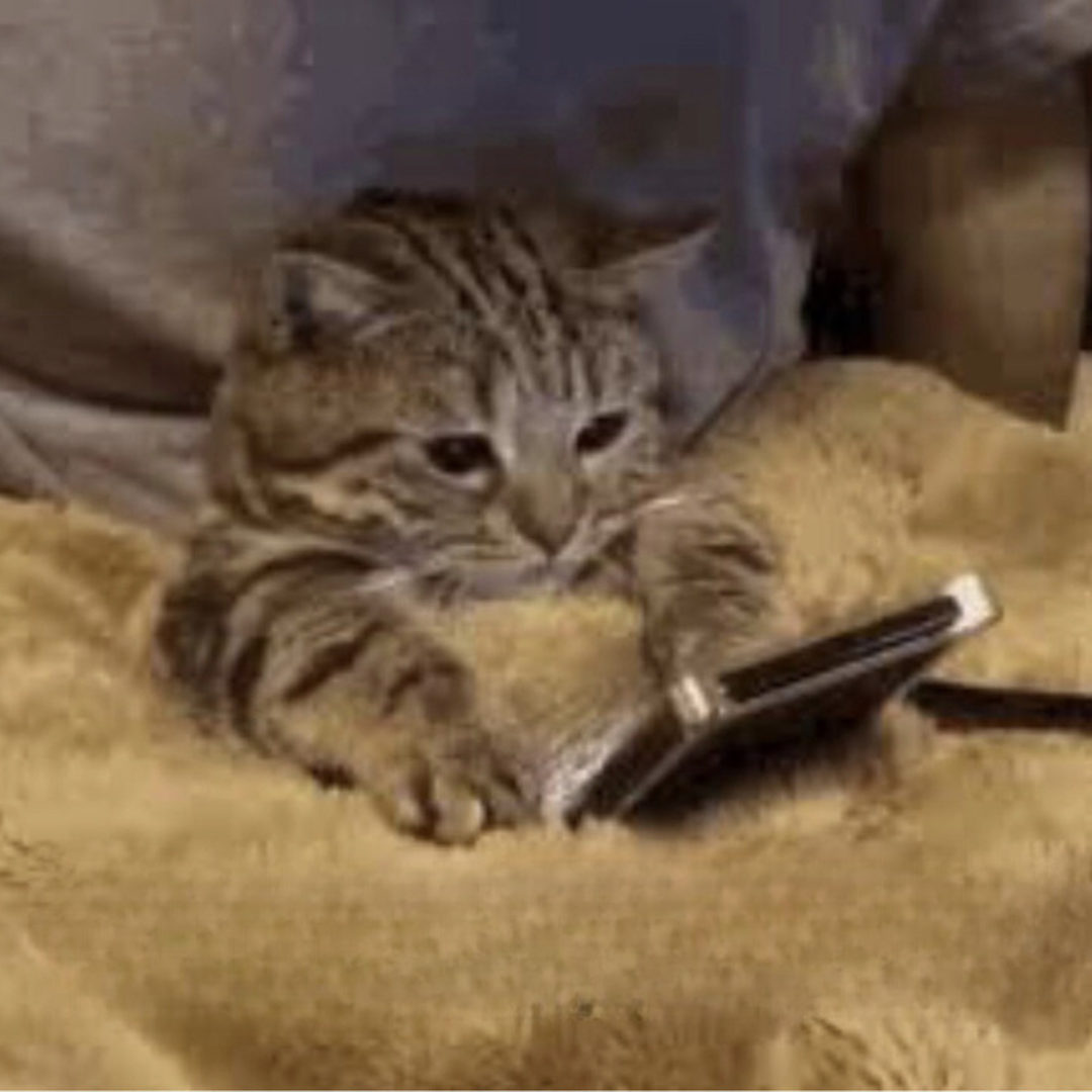 ABHcosmetics's tweet photo. me scrolling through my feed watching everyone buy the new #ABHCOSMOS Palette 🥺

snag yours in-store and online at @Sephora! shop it here: https://t.co/w2g3MJwPXg ✨ https://t.co/0FZPEUFkqt
