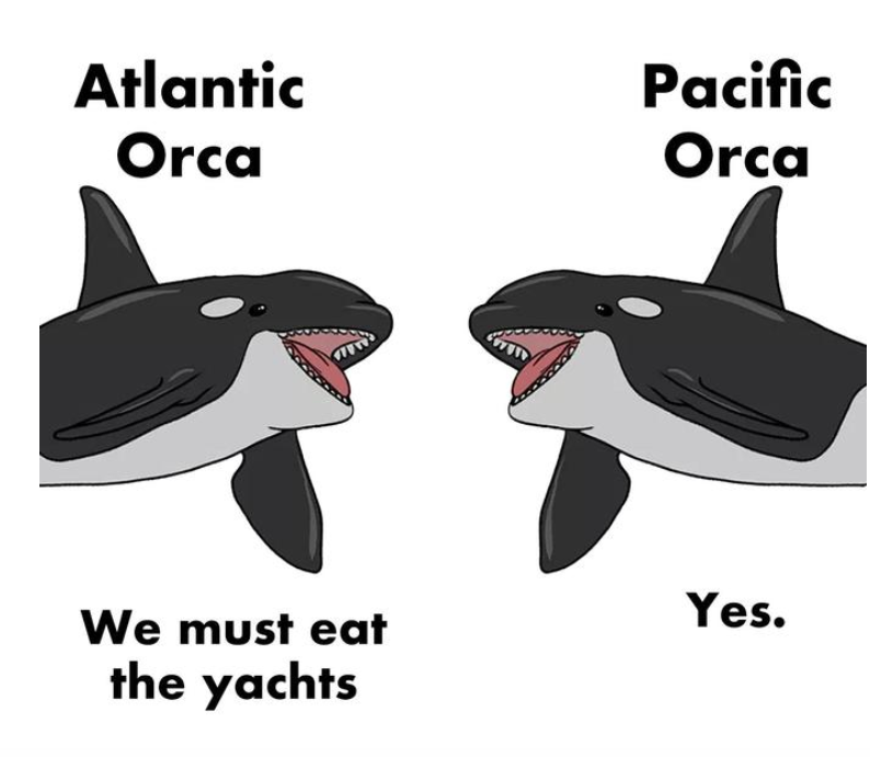 #OrcaUprising #TeamOrca #EatTheRich