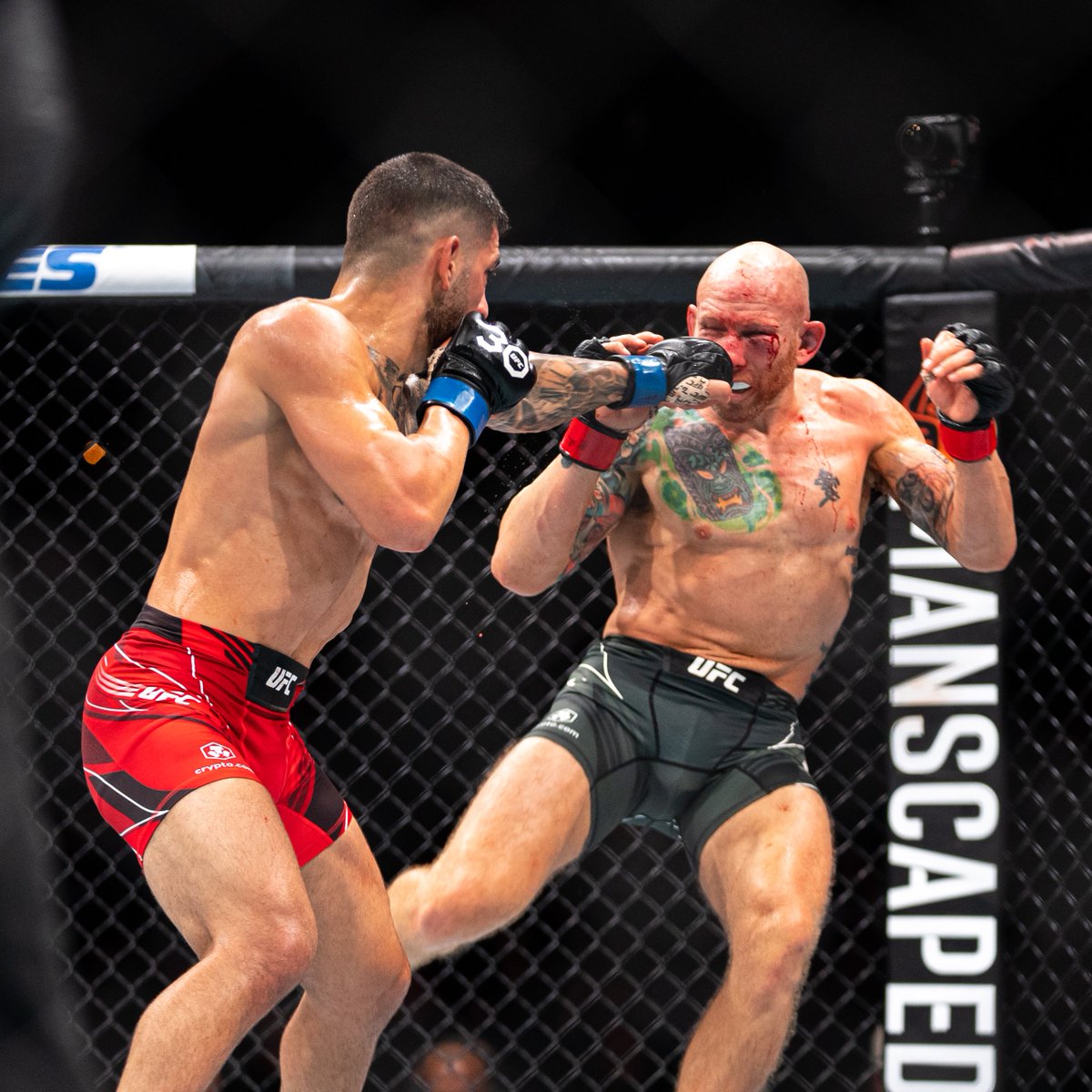 ufc's tweet image. Talk about a DOMINANT win 😤

Is a featherweight title shot next for @TopuriaIlia after #UFCJacksonville?