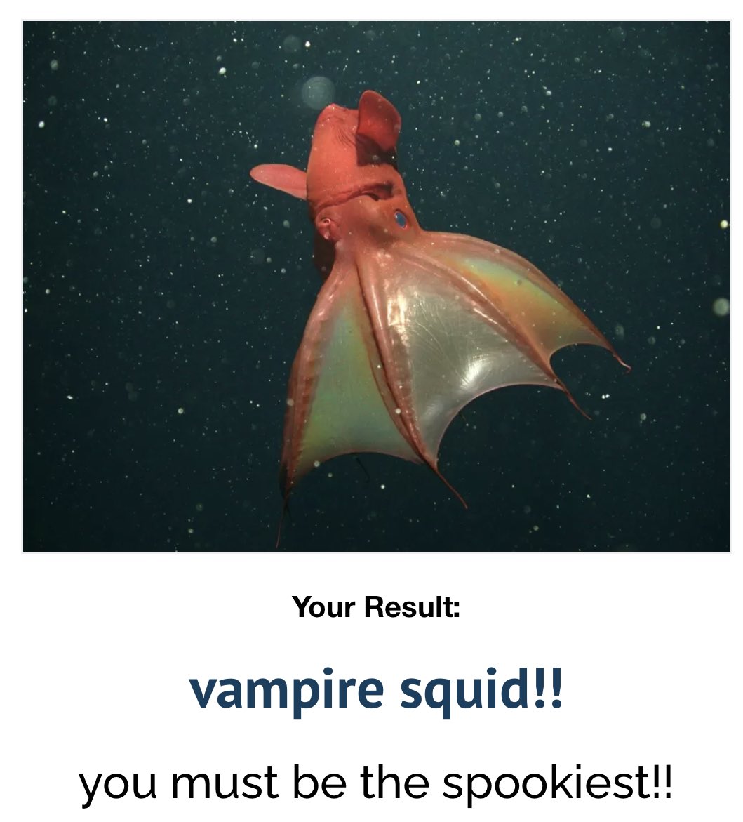 𝕄𝕒𝕜𝕠𝕄𝕚𝕝𝕠 on Twitter "What a great fucking lad!"