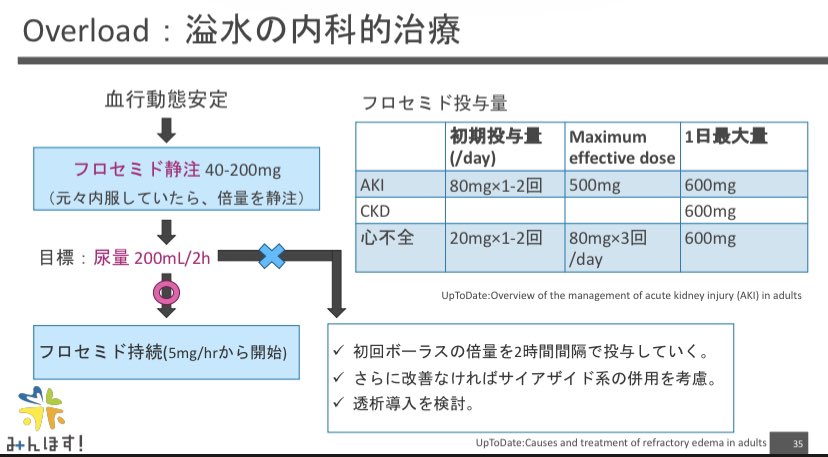  lqfex フロセミドのリーフレット