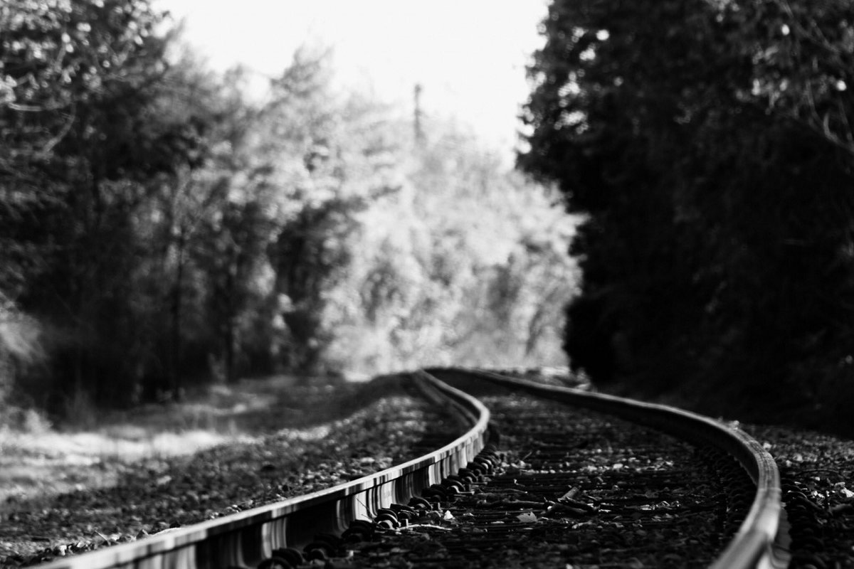 FTPraw's tweet image. 