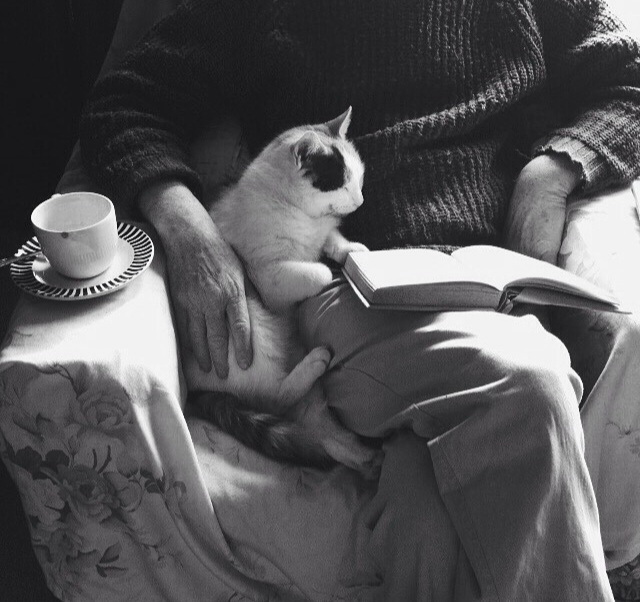 وفي الكتاب كان يجد الحرية التي تنقذه من جحيم المكاتب، أو من عذاب أي عمل آخر من هذه الأعمال التي تسرق الساعات وتهدر الحياة.

ـ أفواه الزمن | إدواردو غاليـانو