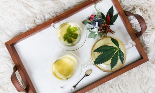hemp_talk's tweet photo. Hemp tea market increasing demand with leading player
#cbd #cannabis #thc #hemp #cannabiscommunity #cbdoil #weed #cbdhealth #hemptea https://t.co/QAq4TNBkaN https://t.co/joiEETIlod
