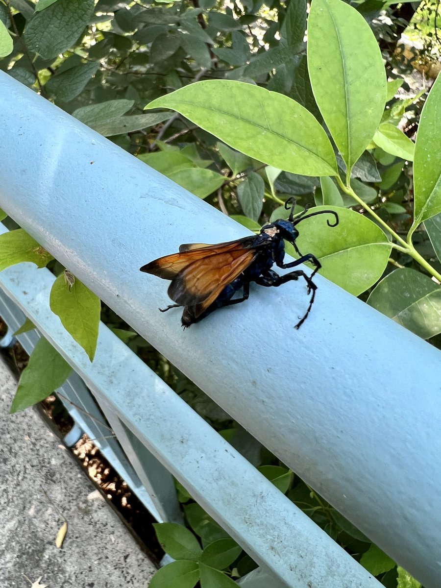 Tolulope Morawo tweet media