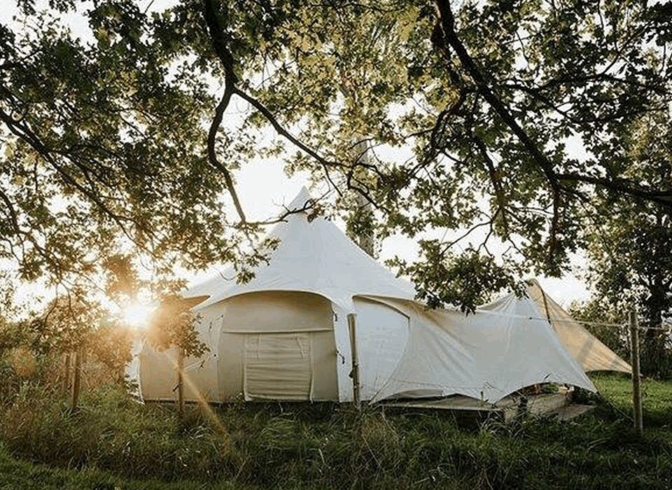 TheTouristTrail's tweet photo. Experience the magic of #glamping at 𝗔𝗹𝘂𝗺 𝗛𝗼𝘂𝘀𝗲 in #Littlebeck, #NorthYorkshire! #BookNow for a secluded woodland #getaway in luxurious domes, sleeps 2 adults + 2 children. #Petfriendly.
🌳✨ https://t.co/wjqc06C0QP
@house_alum https://t.co/o5l5mCaEMh