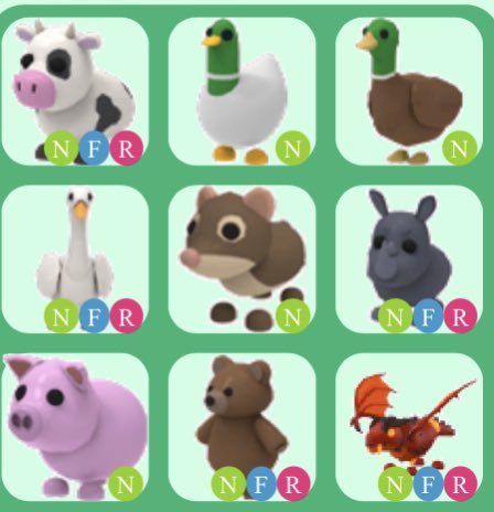 karla193343591's tweet photo. @PlayAdoptMe Trading 

Looking for crow , evil unicorn , parrot and owl 

would prefer if you picked / offered 
#adoptmetrades #adoptmetrading #adoptmeoffers https://t.co/cVGghkoHud