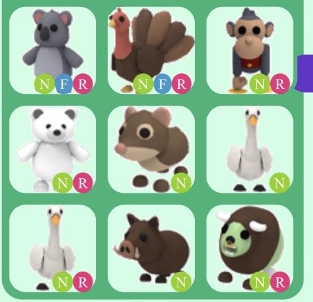 karla193343591's tweet photo. @PlayAdoptMe Trading 

Looking for crow , evil unicorn , parrot and owl 

would prefer if you picked / offered 
#adoptmetrades #adoptmetrading #adoptmeoffers https://t.co/cVGghkoHud