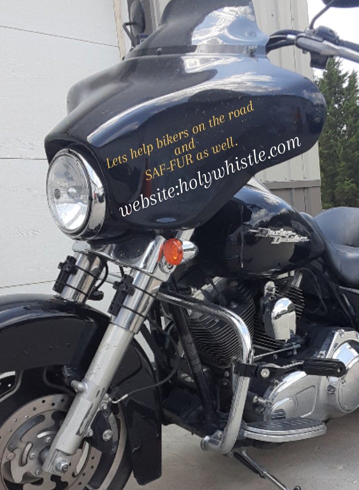 WhistleHoly's tweet photo. #motorcycles #roads #Motorcycle #motorcyclerally #motorcyclelife #motorcyclegroup #motorcycleclub #motorcyclesafety #wildlife #animals #Harley #harleydavidson 
Website:https://t.co/0qDr458BWV https://t.co/OkZlb1gSLj