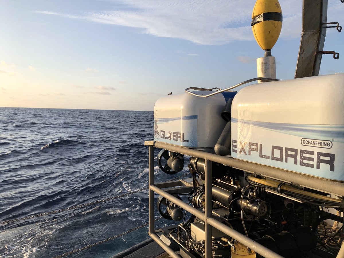 Steffen Buessecker tweet media