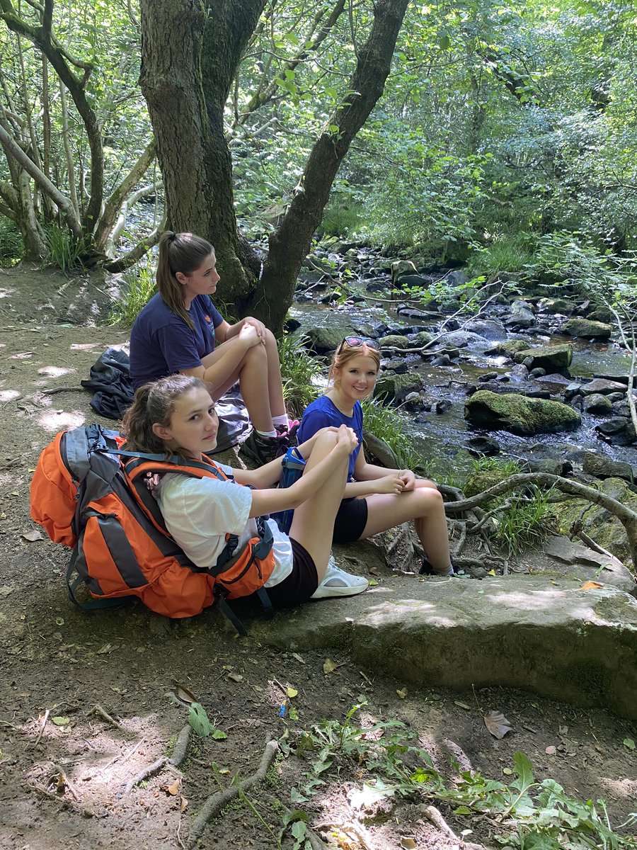 Felsted DofE tweet media