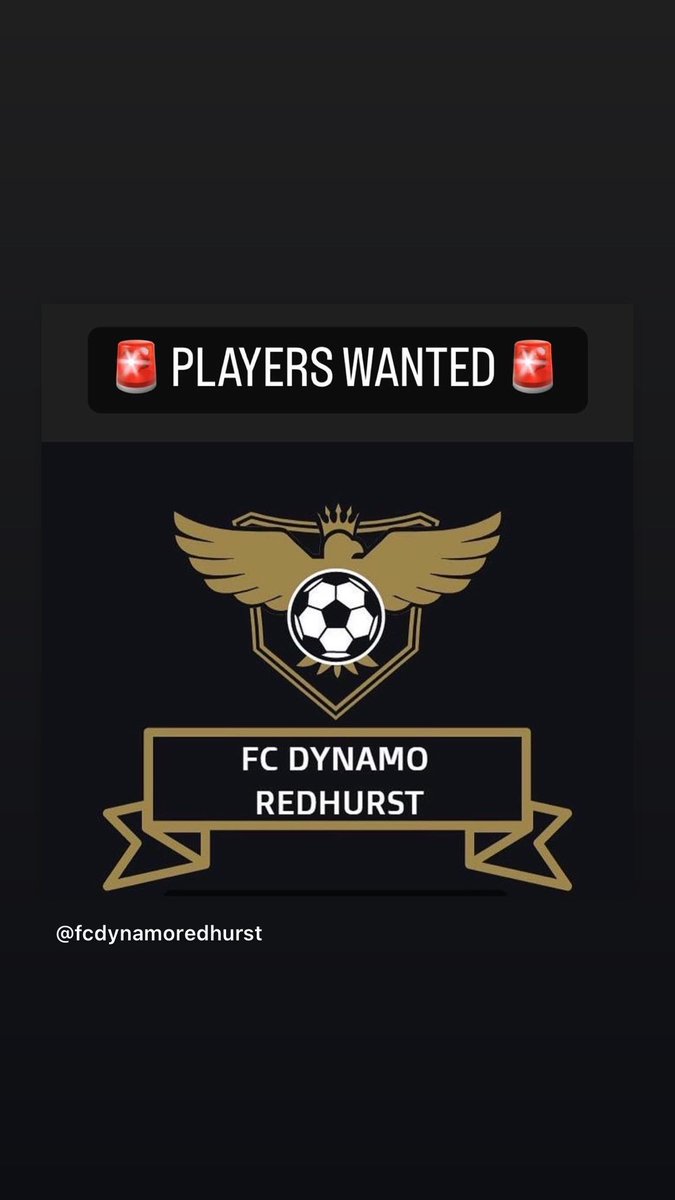 FC Dynamo Redhurst tweet media