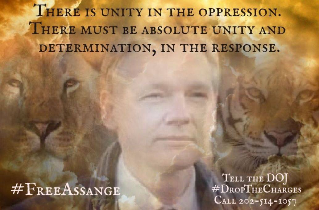 It's #Caterday and Assange's cat says #FreeAssangeNOW