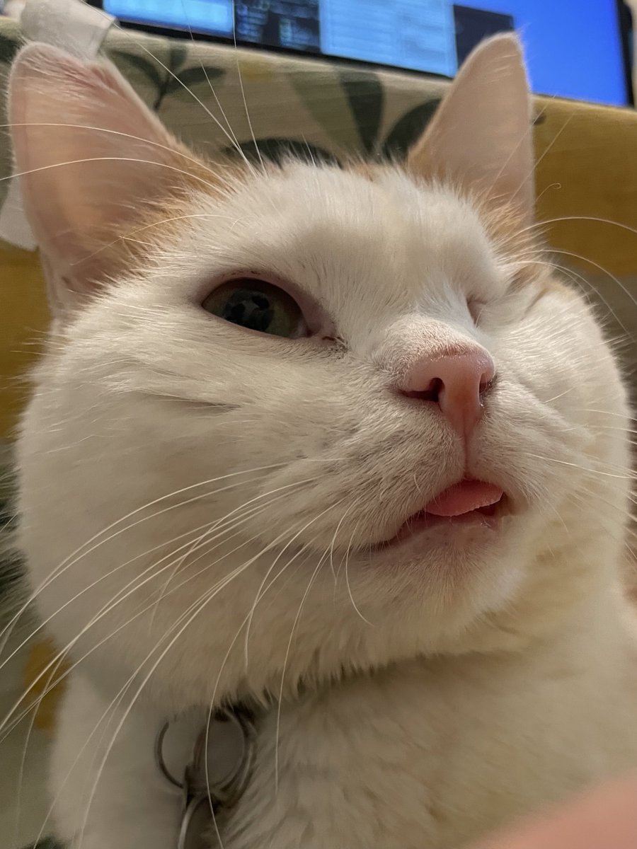 sethleupagus's tweet photo. Benson says, "😜" https://t.co/hmNeg77b0N