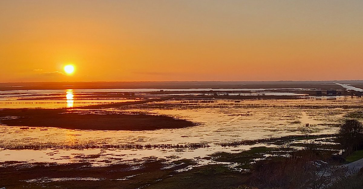 GuideNature44's tweet image. Le marais de Brière en hiver. Le deuxième plus grand marais de France. A chaque saison, son paysage et une nature généreuse !Découvrez la Brière sur : antoinemercier-guidenature.fr 

#coucherdesoleil #paysage #loireatlantique #nature #photography #beautiful