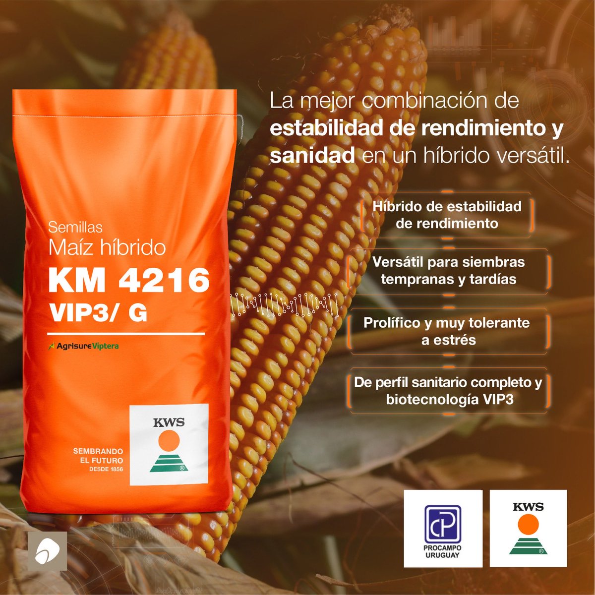 Procampo Uruguay tweet media