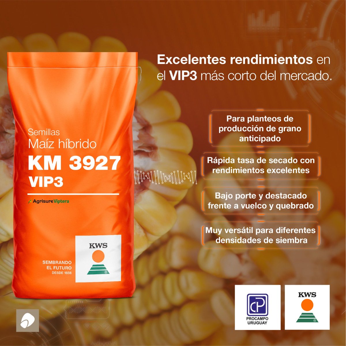 Procampo Uruguay tweet media