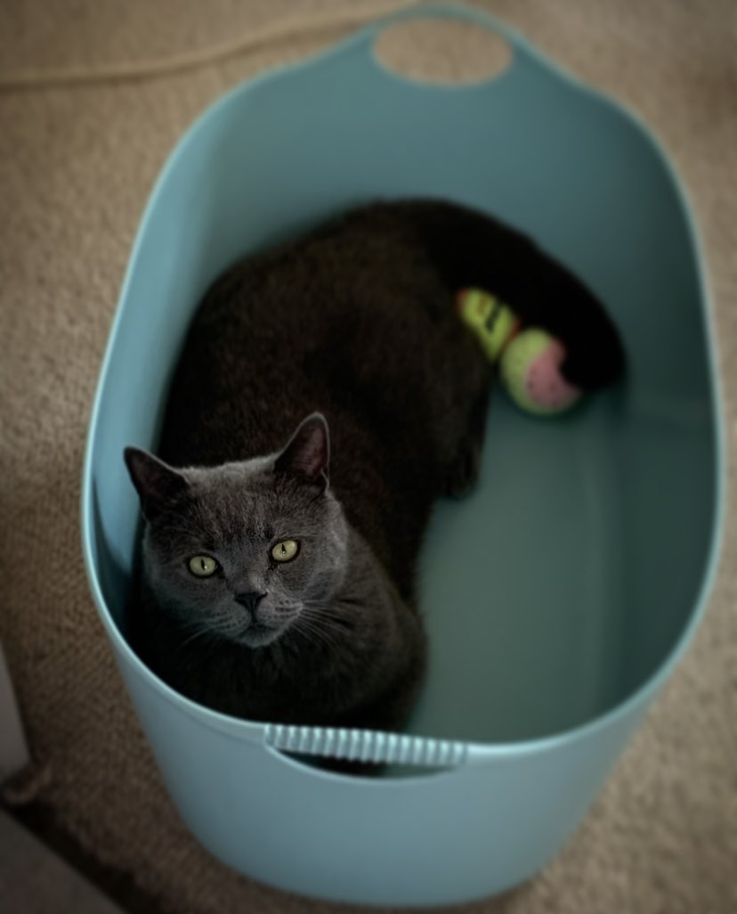 Carter 💭 tweet media