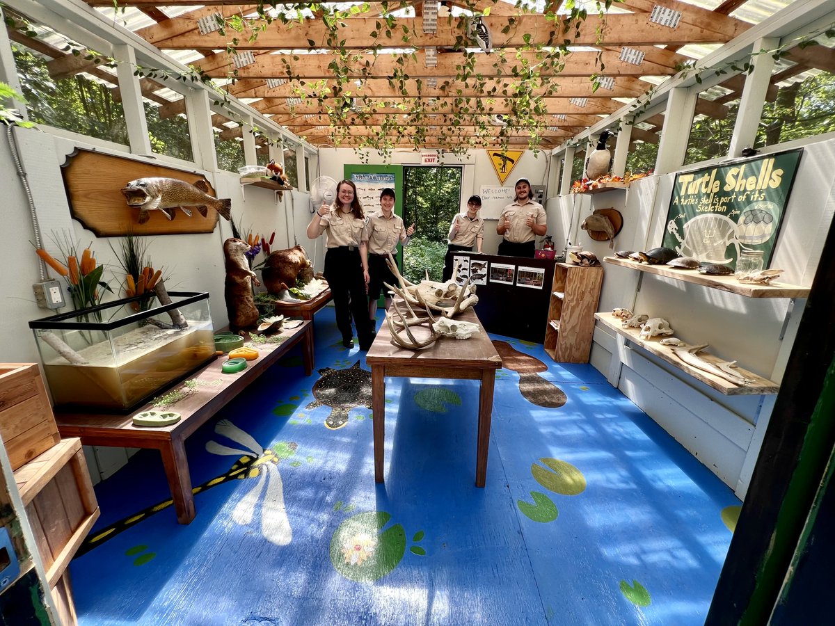 Looking for something to do while visiting us this summer?! 🔎🦋

Stop by the Discovery Centre anytime from 10 am - 2 pm 7 days a week to #AskanOPNaturalist and check out our intriguing displays! 🦫🦊🐢🫎

We can't wait to see you soon! 🥳😍
