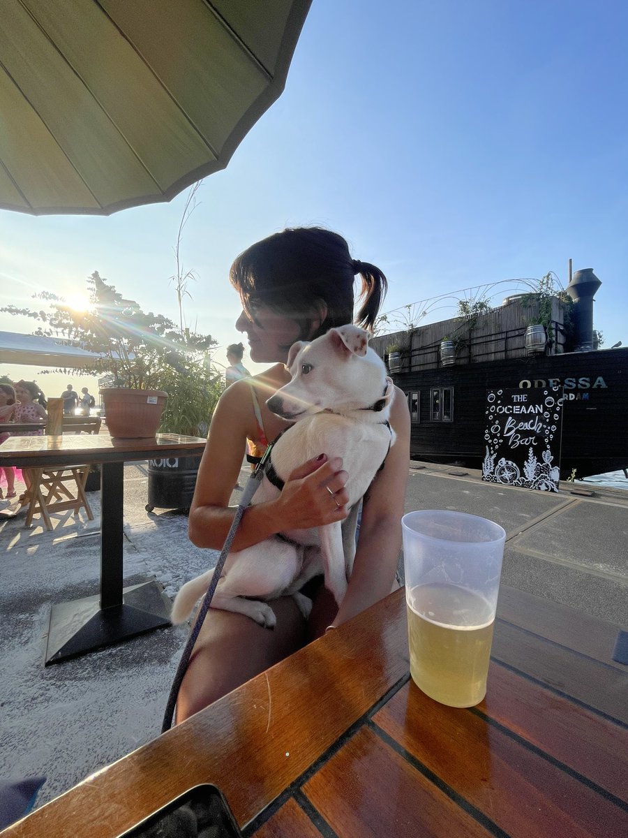 Pedro Marques ⚙︎ tweet media