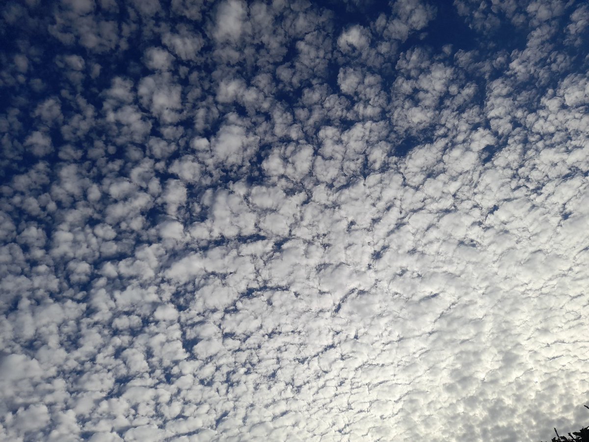 This evening's sky is made of cotton wool balls