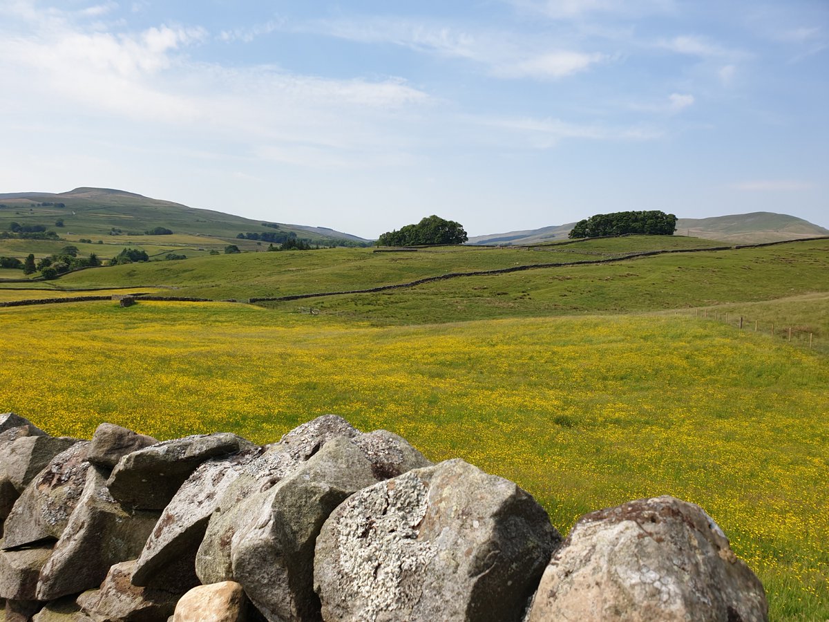 DalesBus's tweet photo. The full Summer DalesBus network into and around the Yorkshire Dales is now running every Sunday.   
Services 822, 875 and 876 from York and Leeds are run by double-decker buses to provide more space and great views.  
All single fares just £2.  
https://t.co/fYPb7Mhz7V https://t.co/ic7OjNsHw3