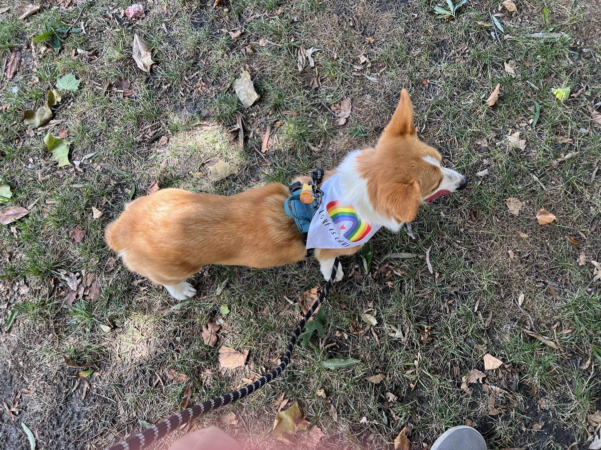pdedpharmd's tweet photo. Happy #Pride2023! Annie’s favorite local drag queen Magnolia Applebottom was the Grand Marshall for the parade. Lots of new friends at the event downtown today! #SbyPride #SalisburyPride https://t.co/w9IaHR6EVH