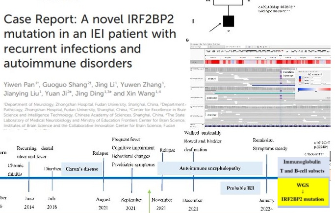 🧬Inborn Error of Immunity⚠️
🆕-ly described 'IRF2BP2' mutation :
   ➡️ recurrent🦠infections; fevers; GI; 
           autoimmune🧠encephalopathy; +
readcube.com/articles/10.33… #snrtg @sme_rt #autoimmune
    #RareDisease   
    #immunology