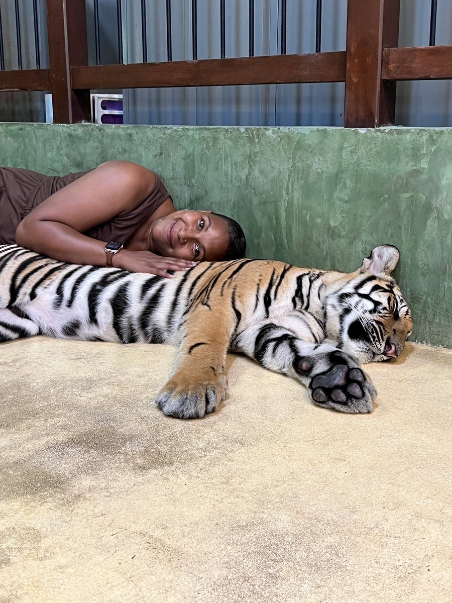 MESHoneyBees's tweet photo. When given the time to rest and enjoy all life has given me, the ability to make new memories and bask in wonder I can think of one feeling that sums it all up…HUMBLED! My heart is sitting on the corner of happiness and magic! 🐝❤️ #VacationDiaries #Tigers #Monkeys #Elephants https://t.co/upk8V7912H