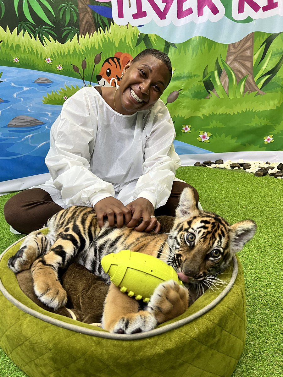 MESHoneyBees's tweet photo. When given the time to rest and enjoy all life has given me, the ability to make new memories and bask in wonder I can think of one feeling that sums it all up…HUMBLED! My heart is sitting on the corner of happiness and magic! 🐝❤️ #VacationDiaries #Tigers #Monkeys #Elephants https://t.co/upk8V7912H